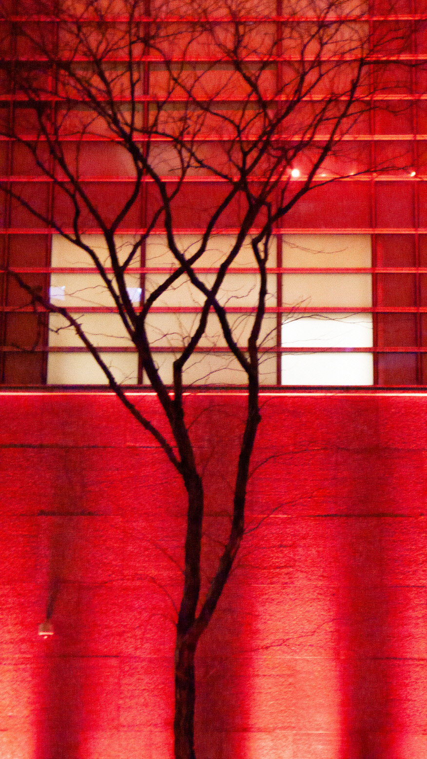 City_Breathe #025_뉴욕