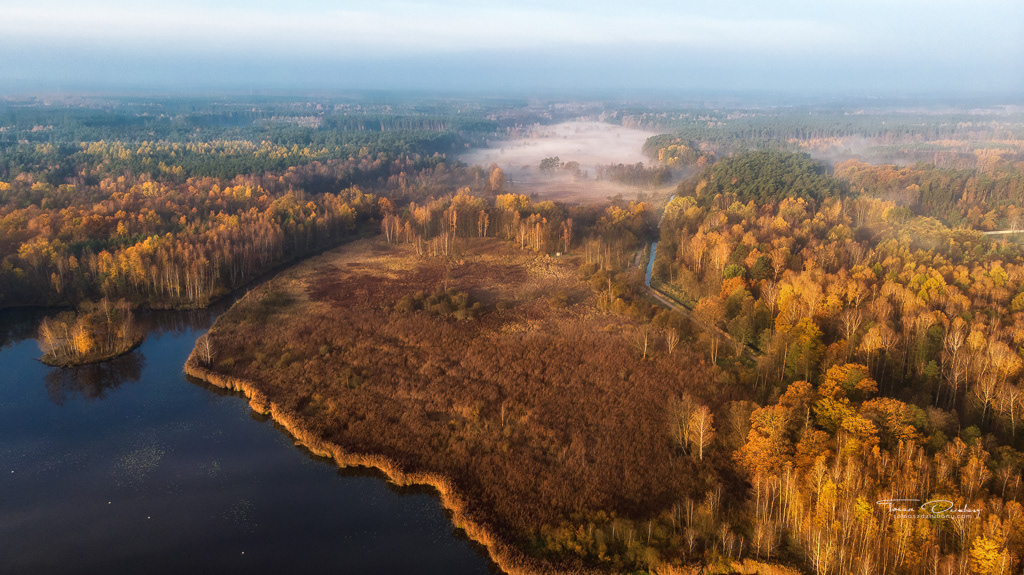 Poland, Tychy, Paprocany
