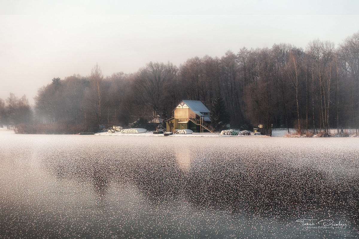Paprocany Zimą - 01.2024r -17C