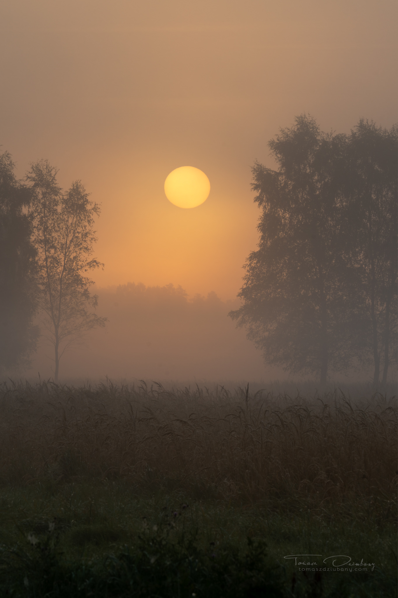 Na skraju Tychów