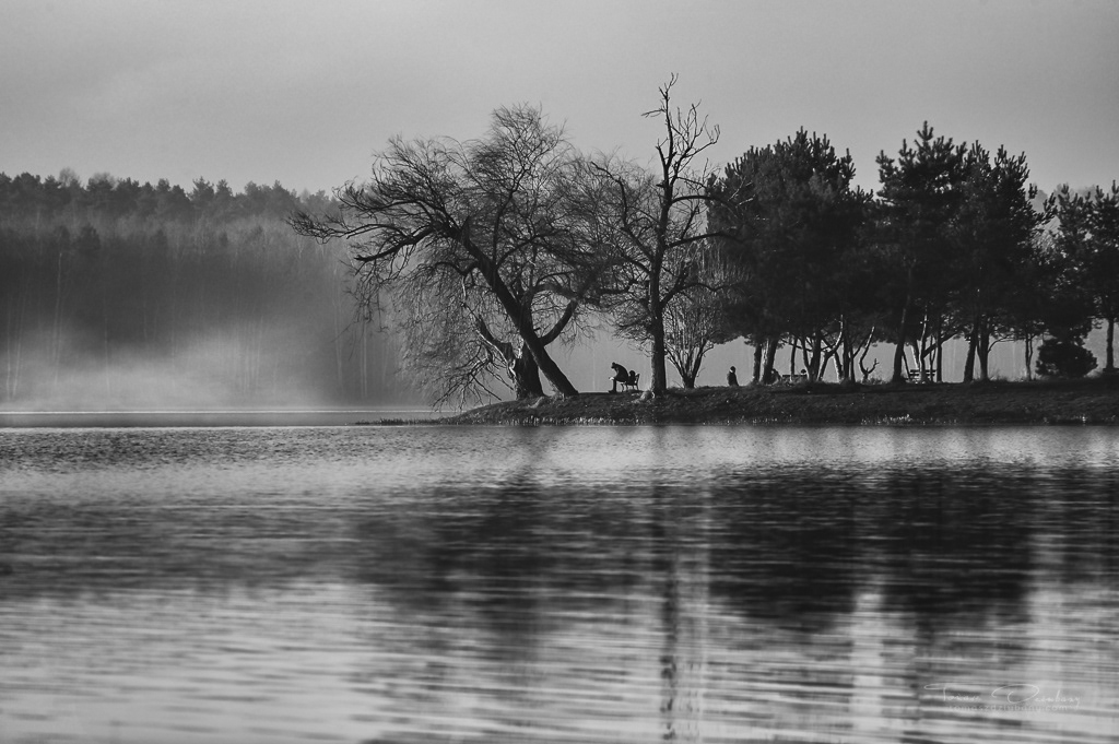 Poland Tychy - BW