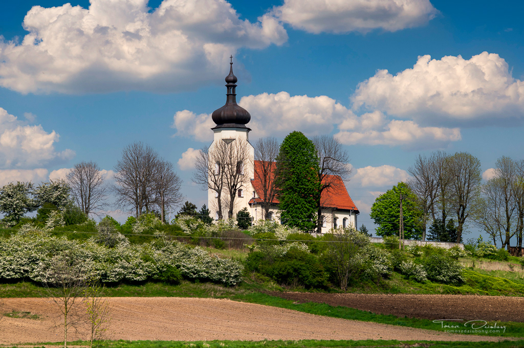 Parafia Rzymskokatolicka św. Klemensa w Lędzinach