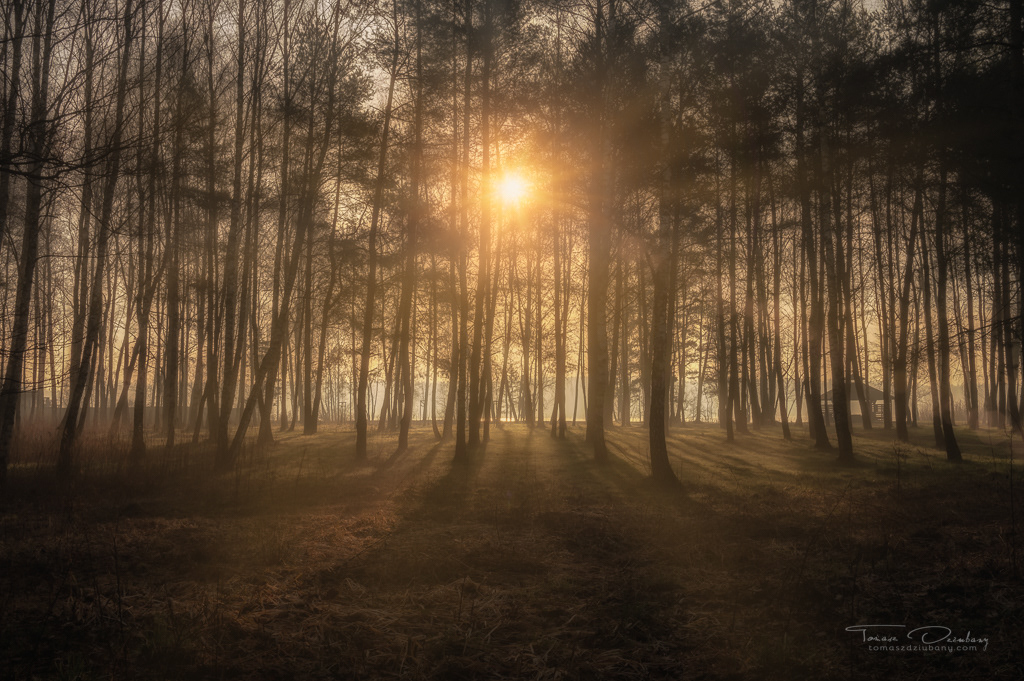 Poland Tychy - Sun Rise
