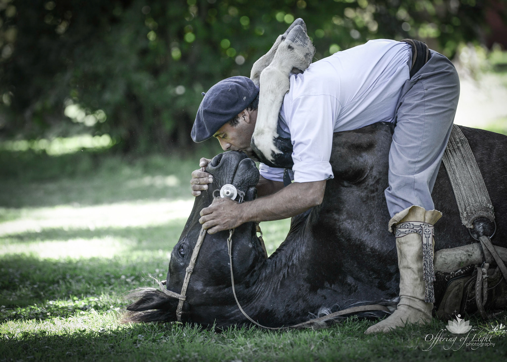Horse Whisperer Argentina