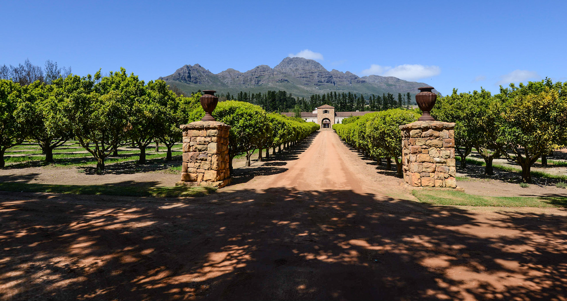 Winery - South Africa