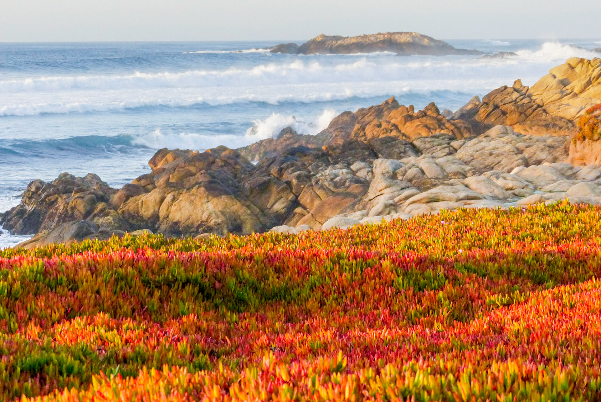 California