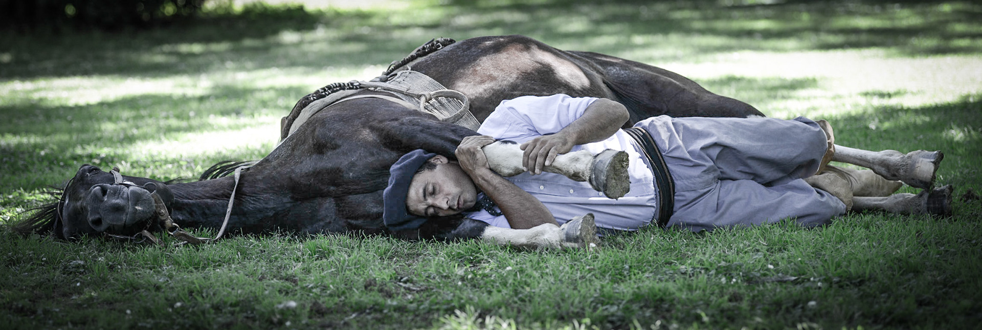 Horse Whisperer Argentina