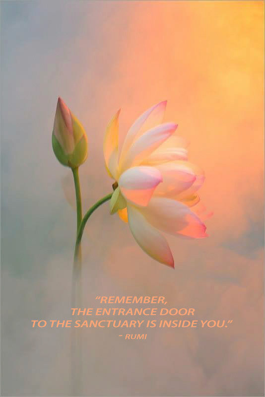 Rumi