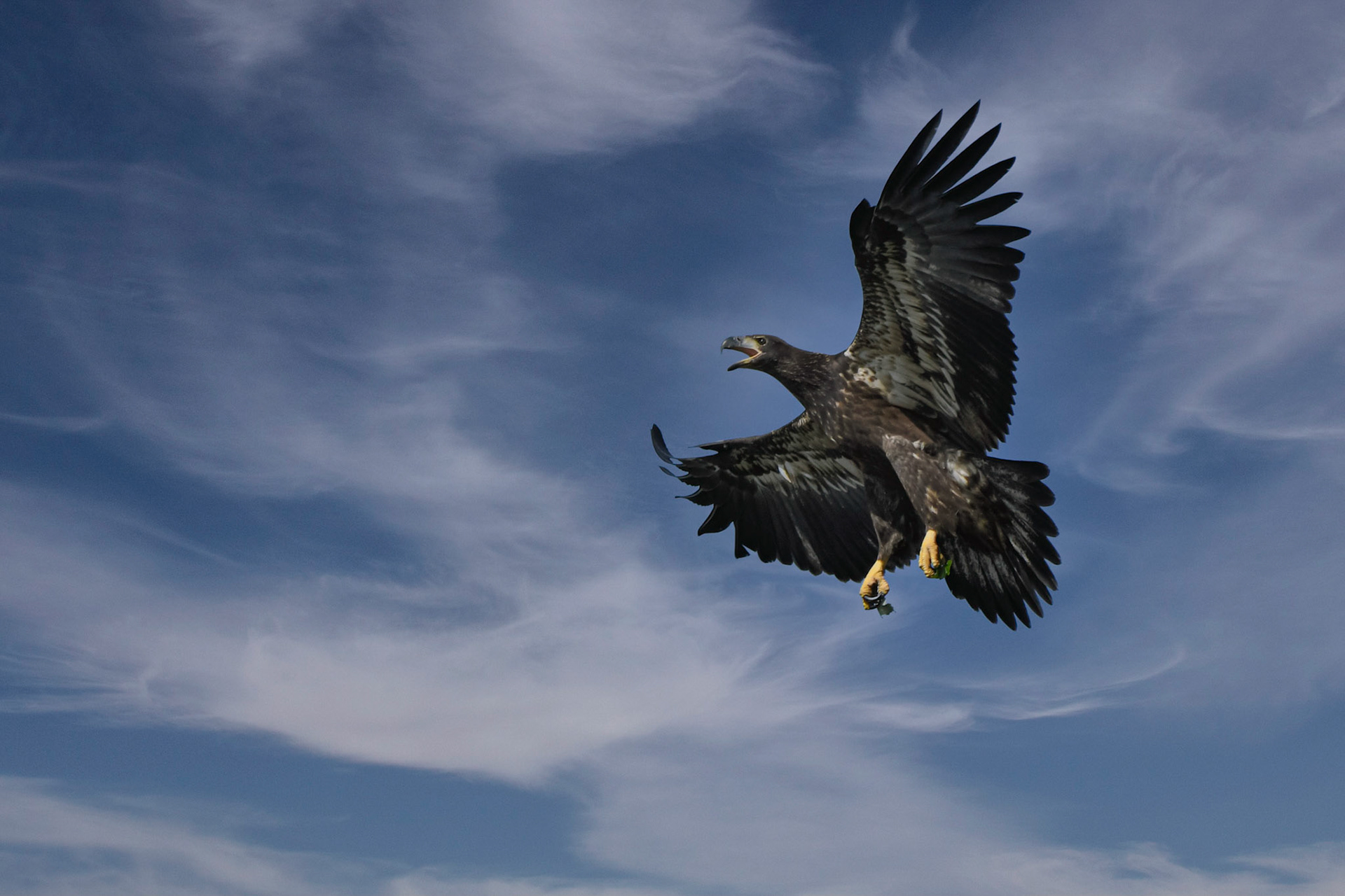 Lakewood Ranch baby - 2021