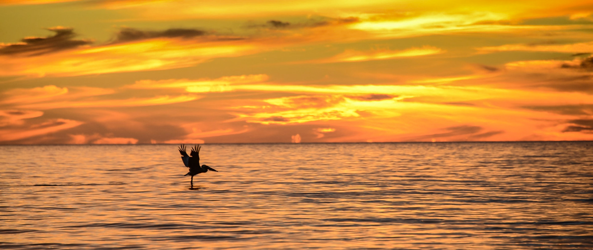 Bay Isles, Longboat Key Sunset 