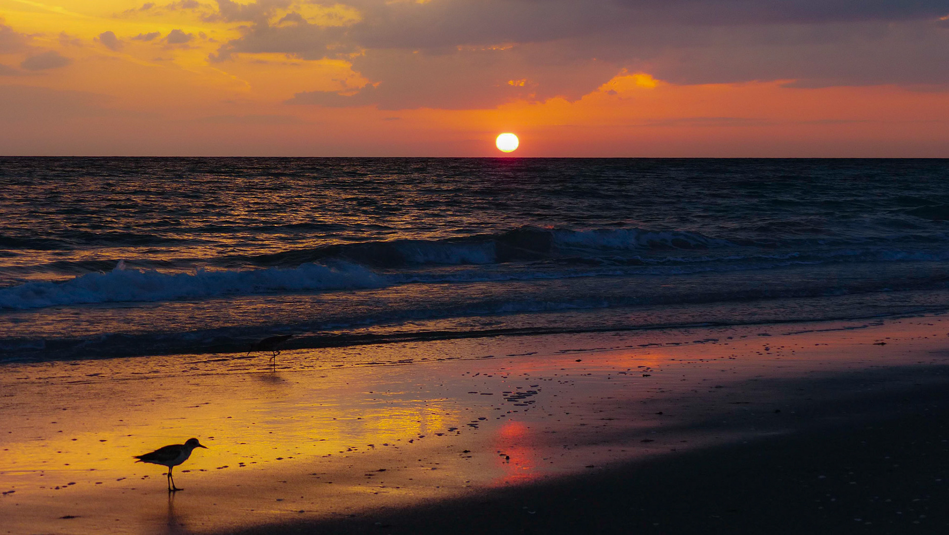 Florida sunsets are amazing!