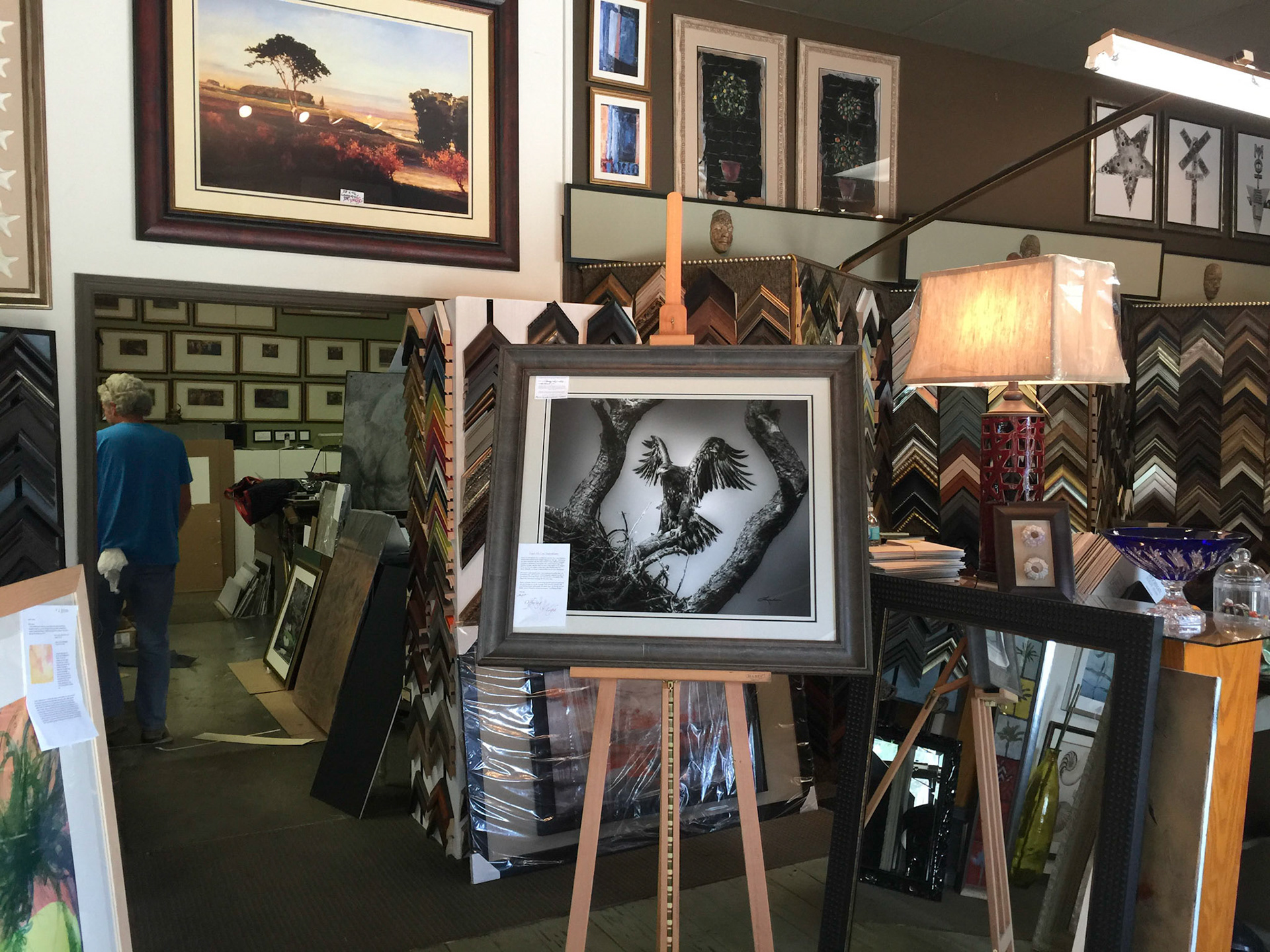 Baby Eagle - Sold!