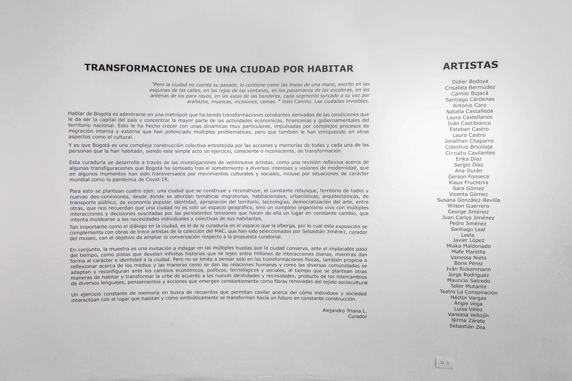 Instalación para la Bienal de Bogotá, versión 2025