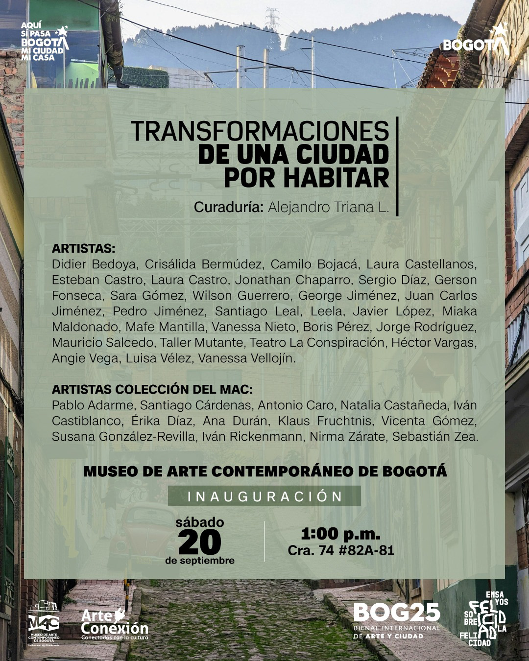 Instalación para la Bienal de Bogotá, versión 2025