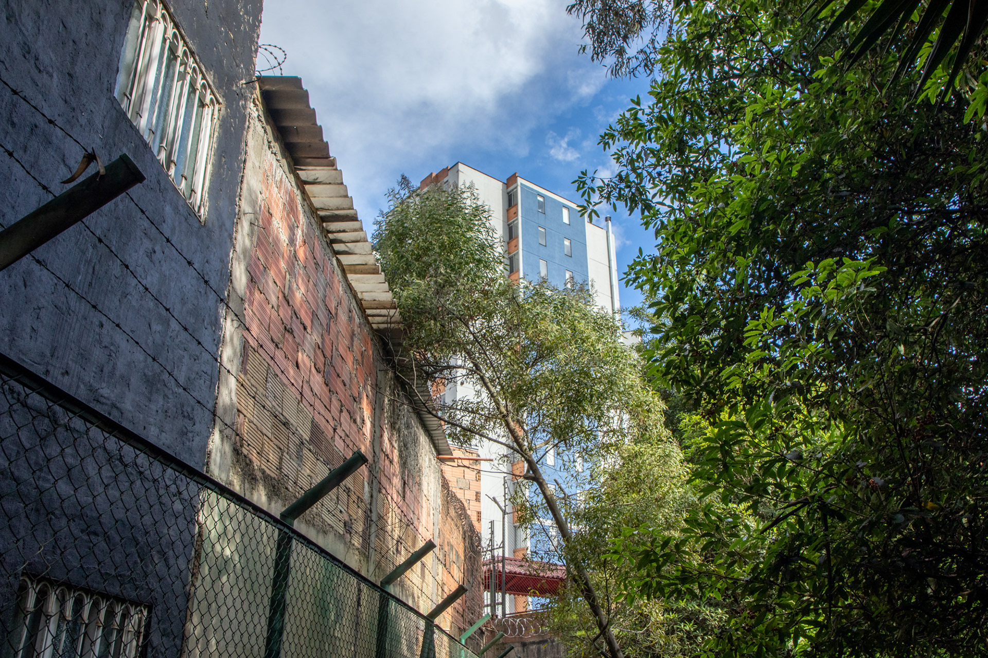 Humedal El Burro, Bogotá