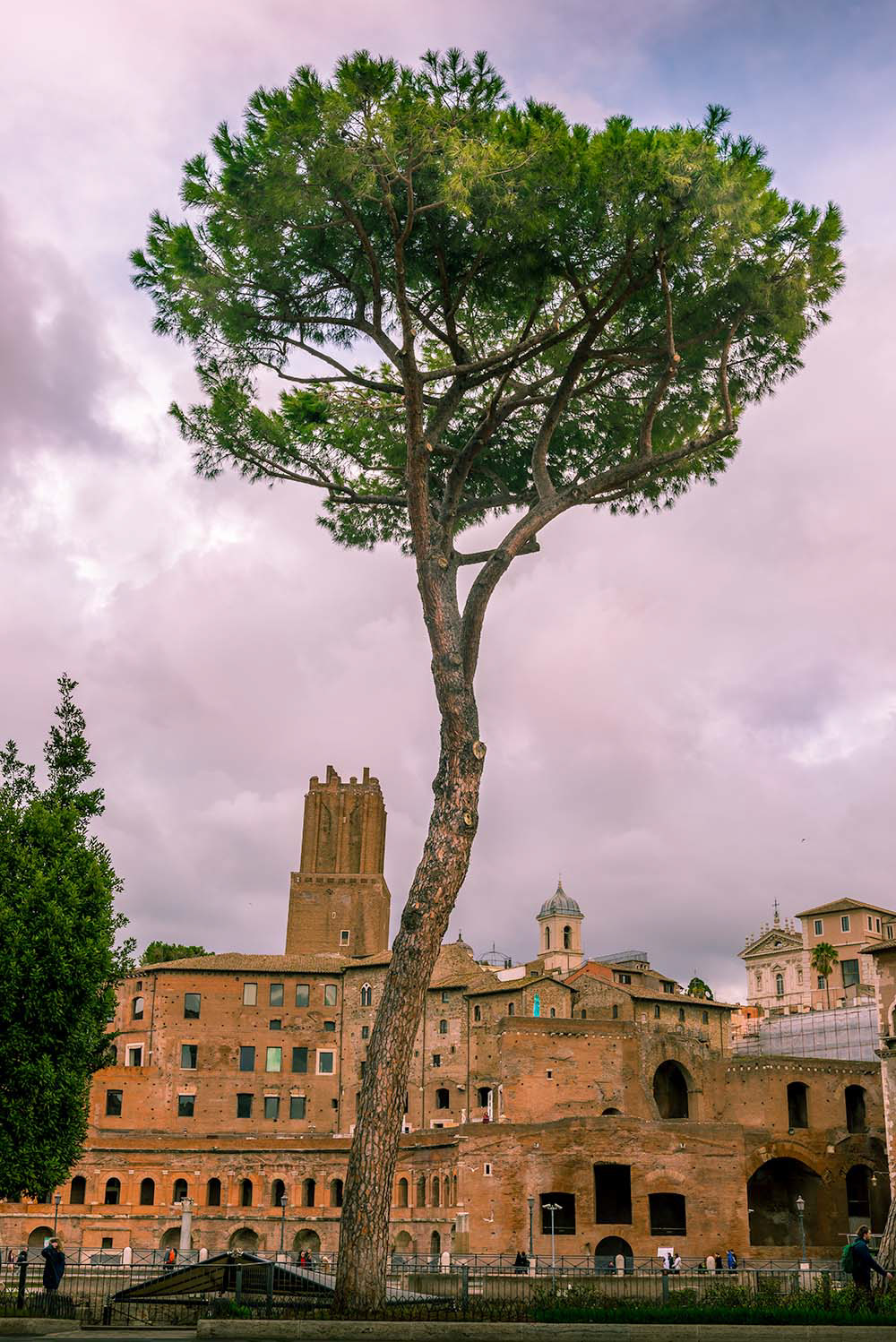 Sesto