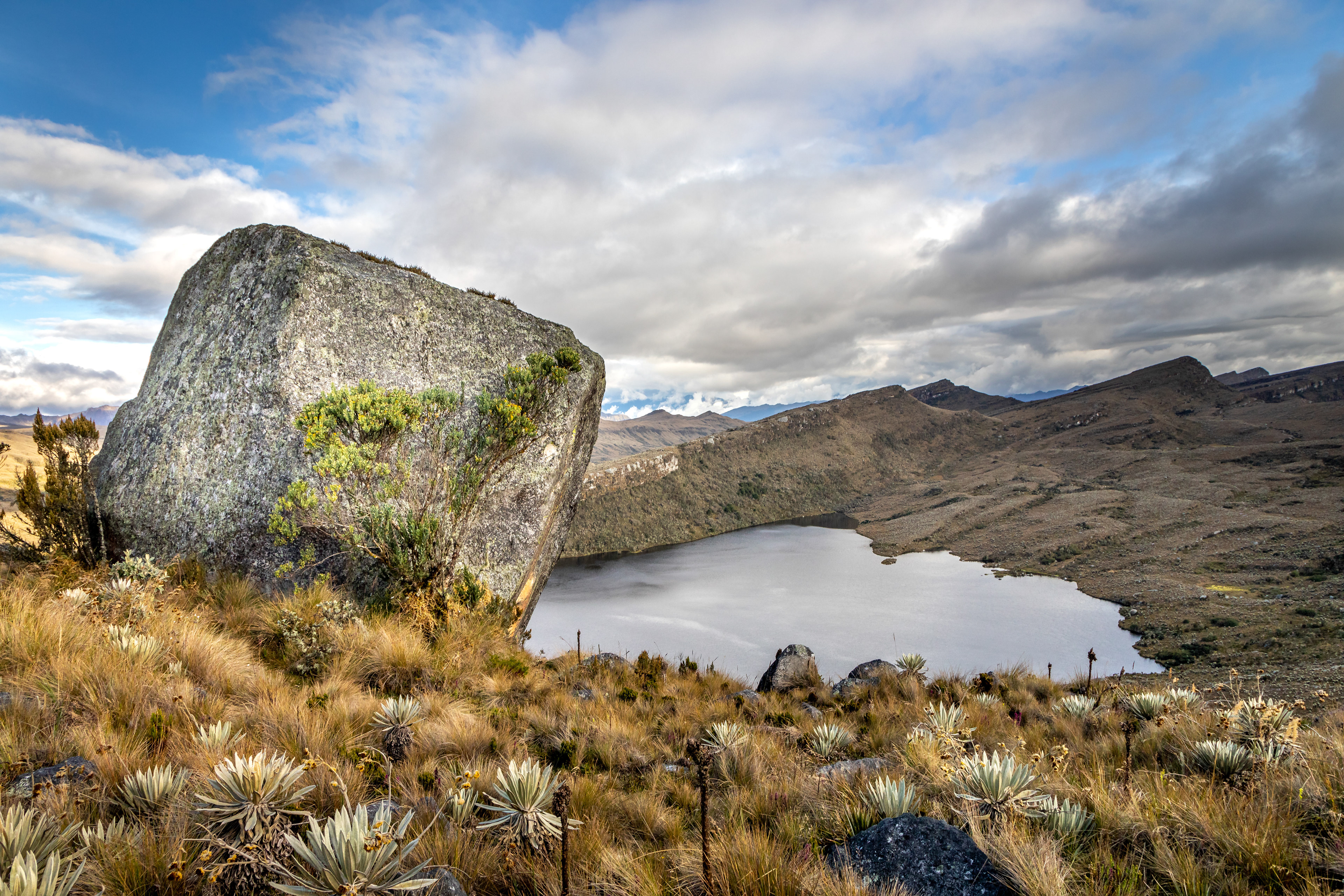 Laguna de los tunjos