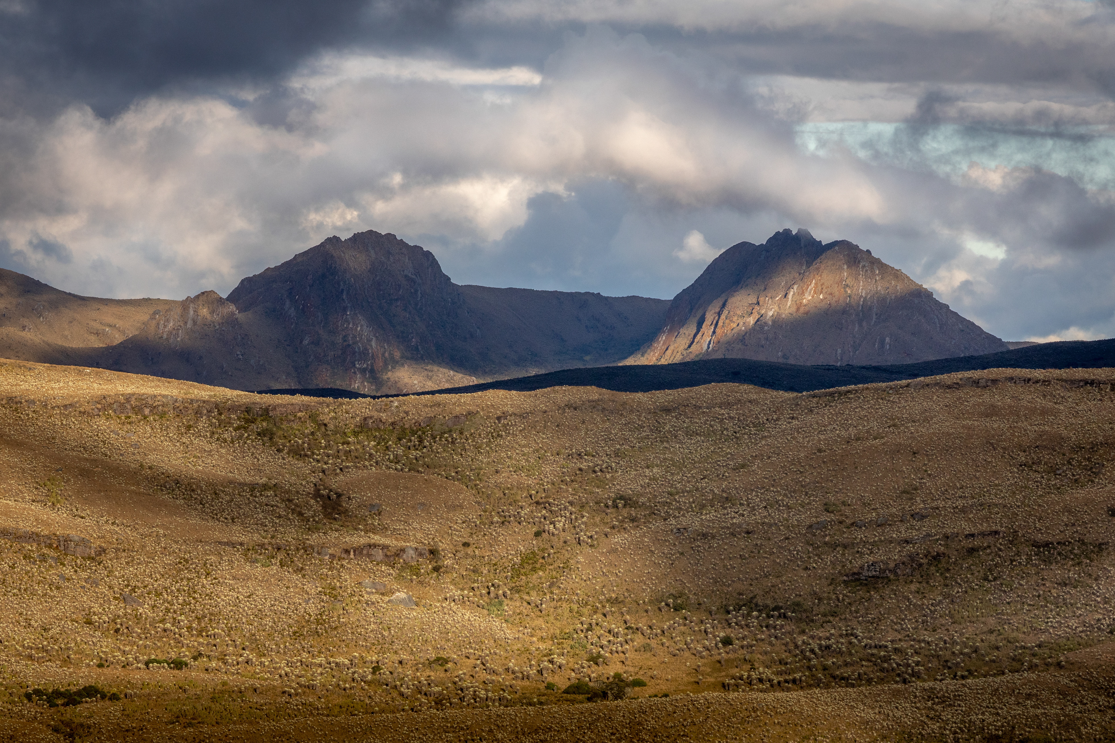 Páramo de Sumapaz