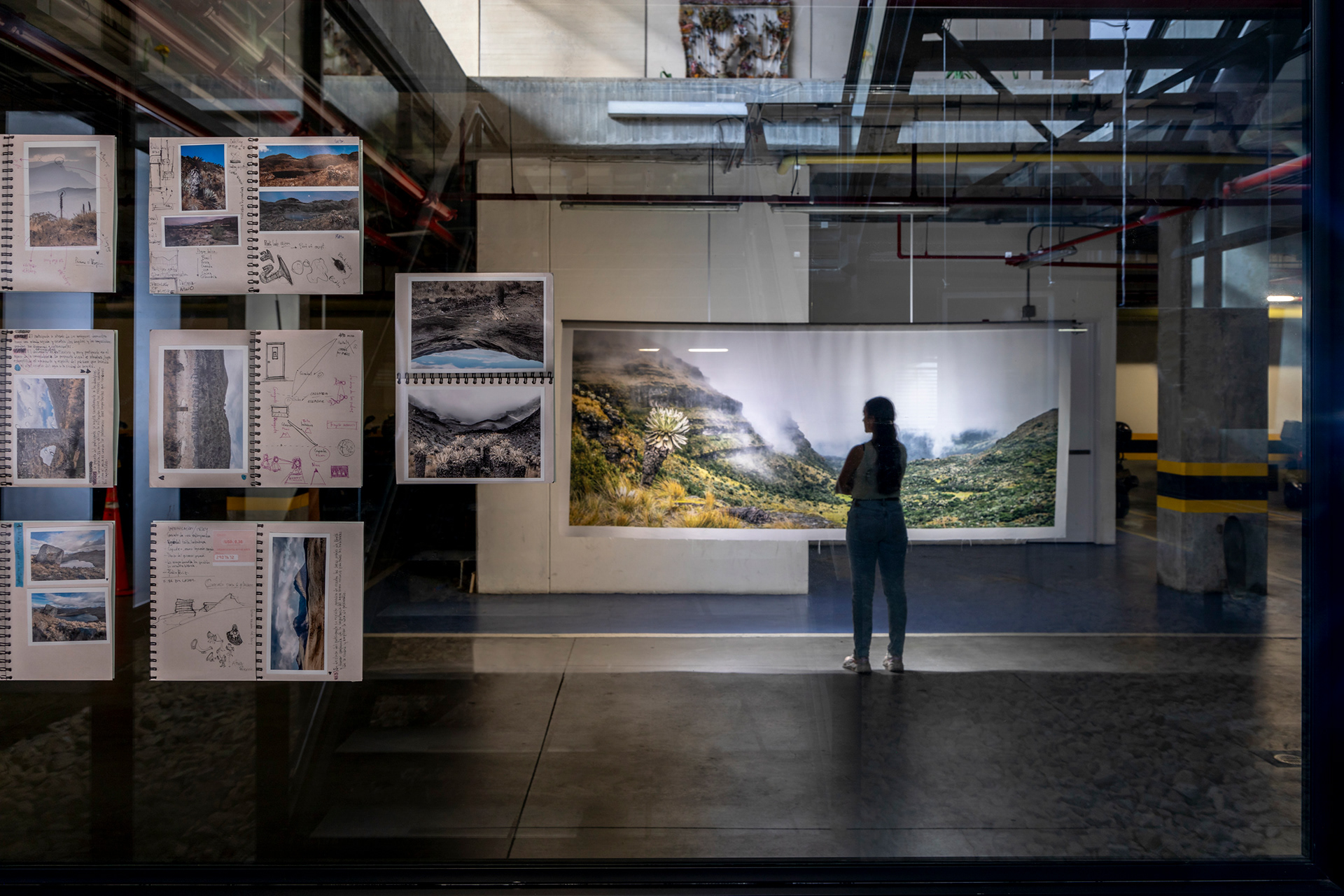 Bienal de Cundinamarca 5