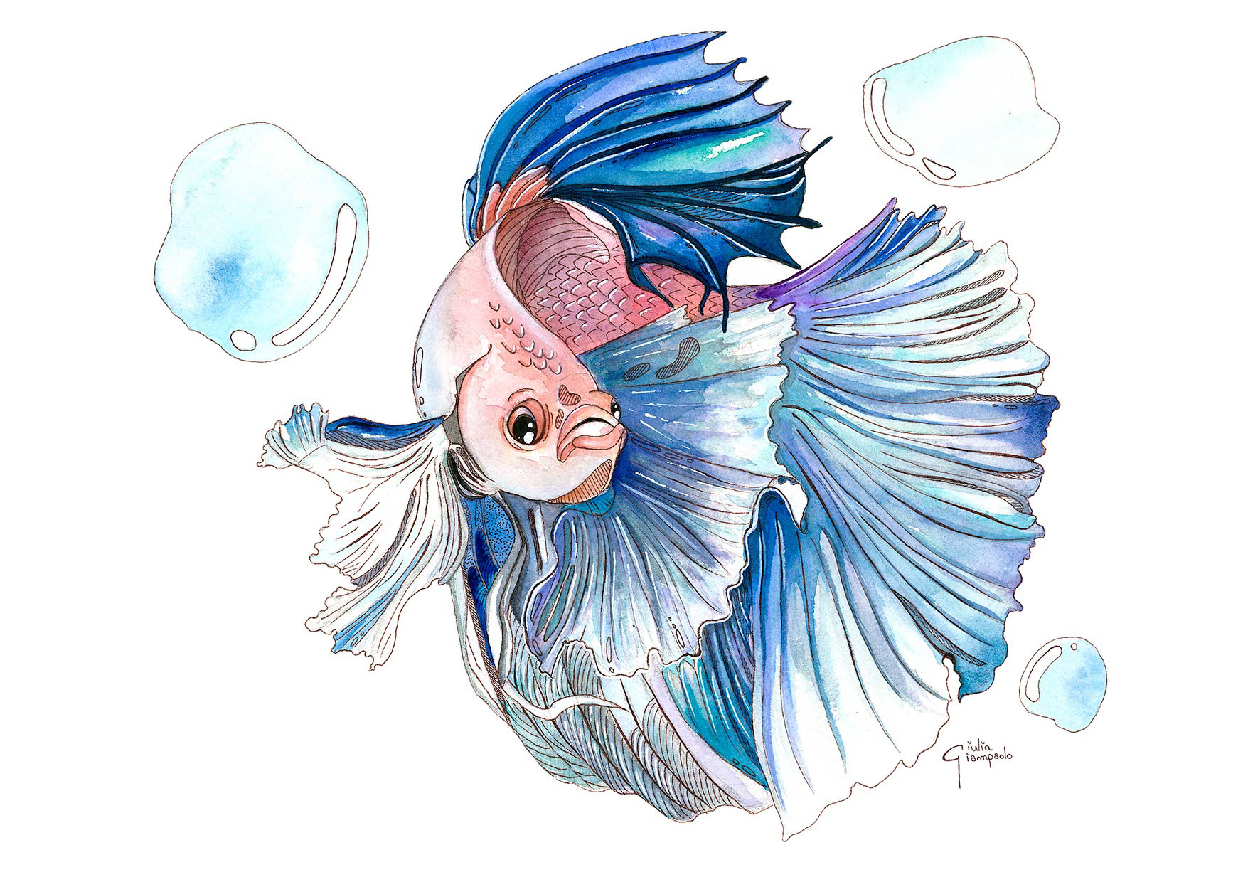 Betta fish