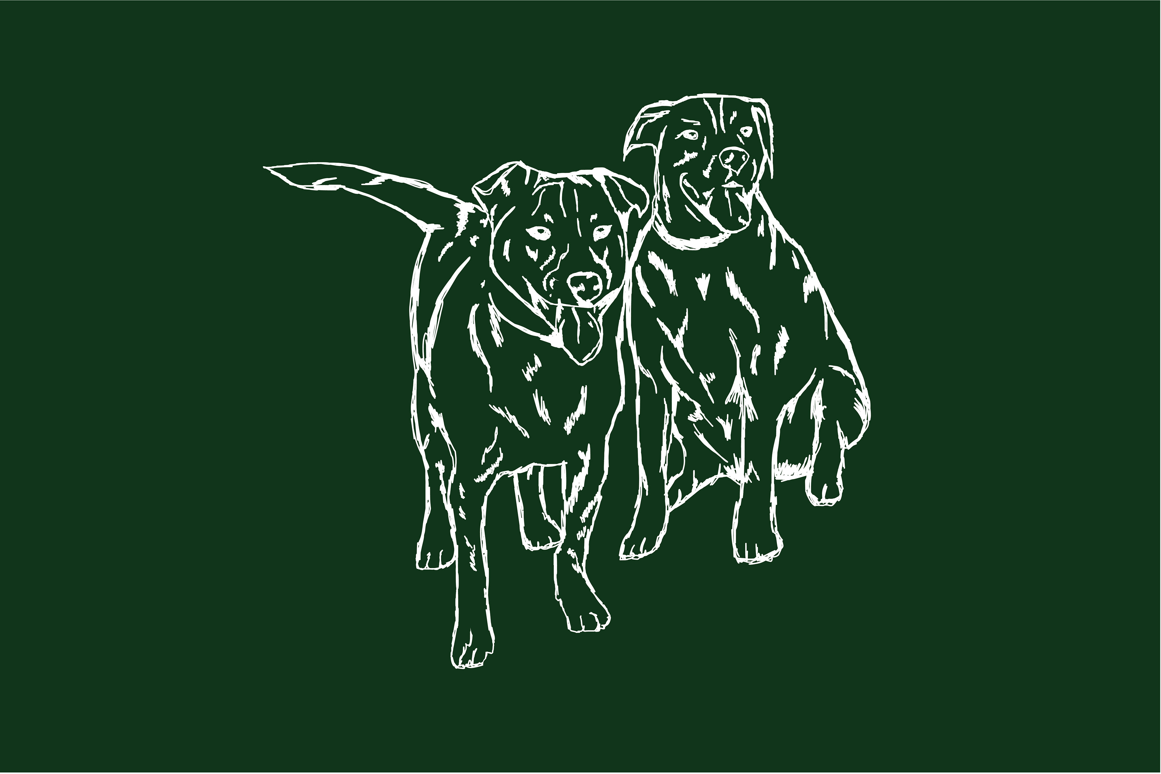 Custom pet illustration.