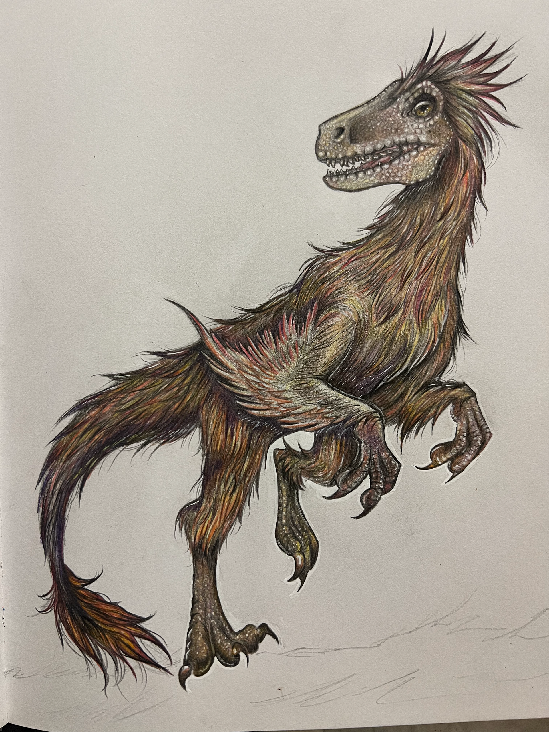 RAPTOR