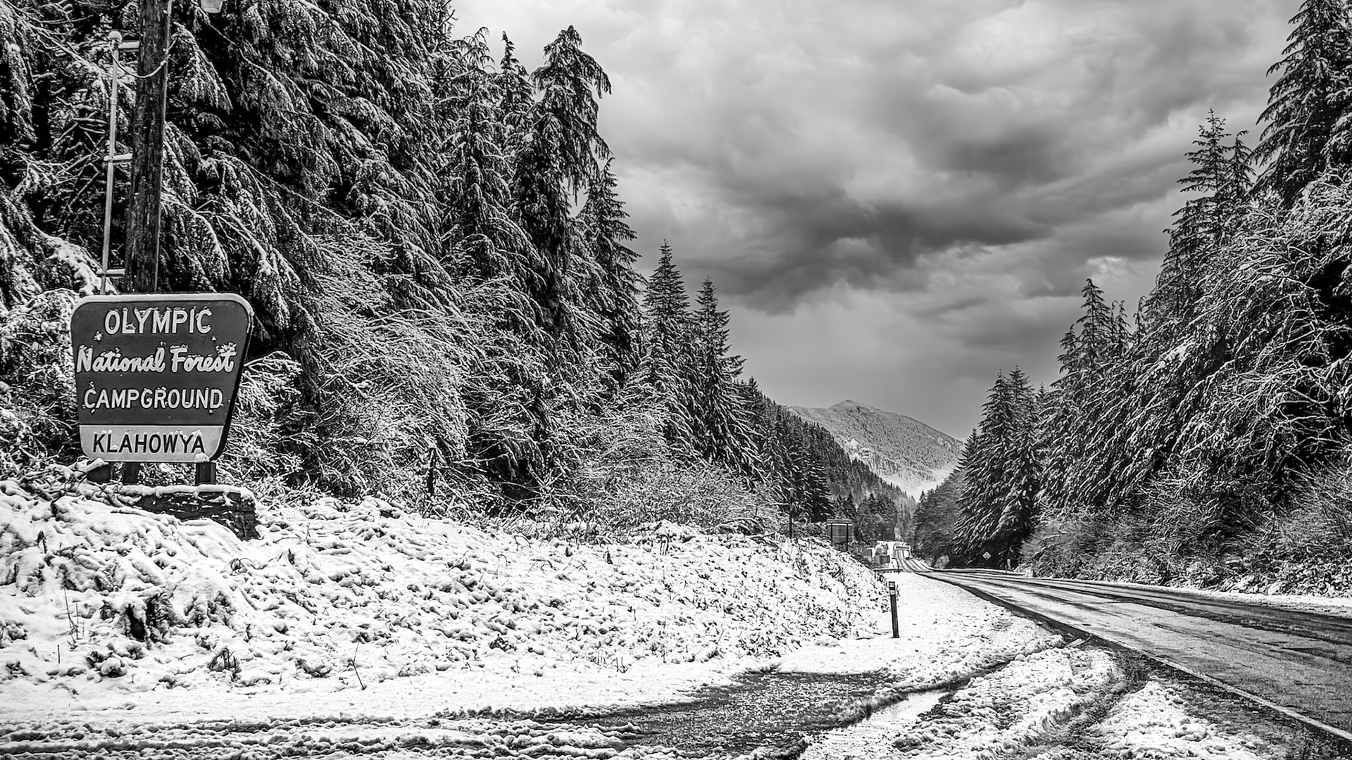 HM Digital Projection