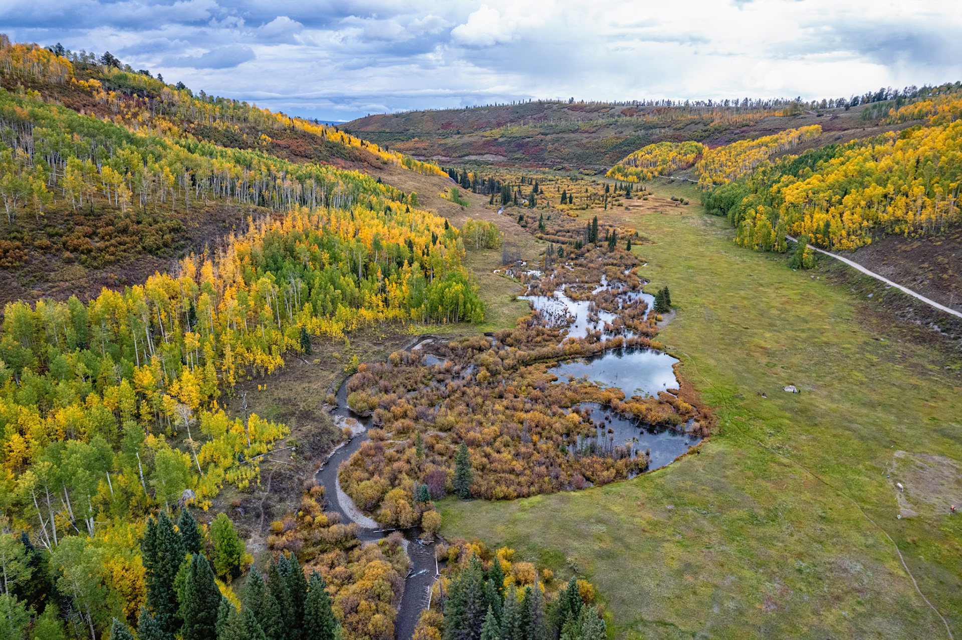 Near Telluride, Colorado