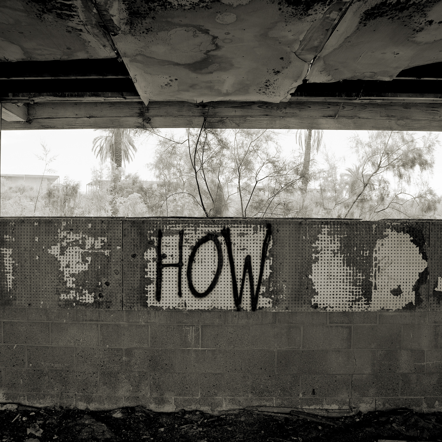 Salton Sea #37 — California, 2008