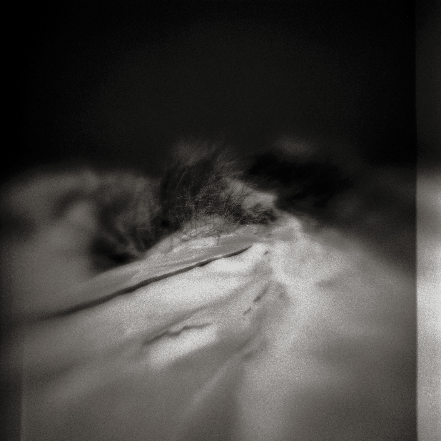 A Wall against the Ocean #1, 2002 — Kiev 88 + Kodak Tri-X