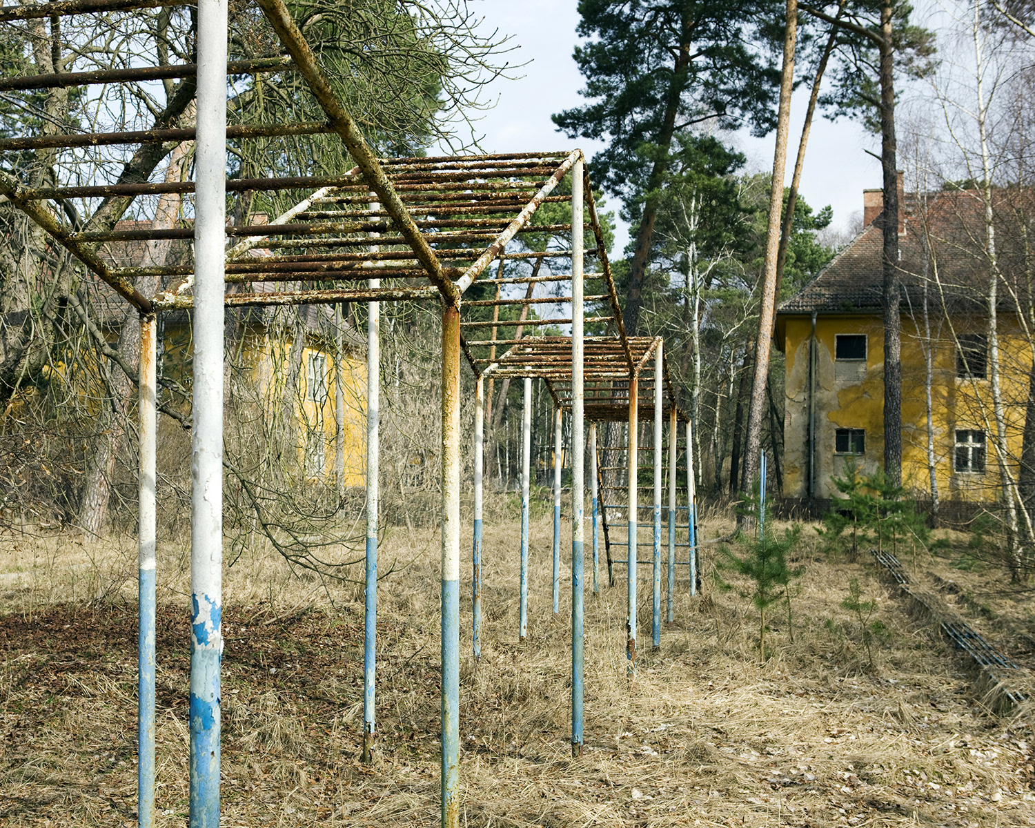 Forst Zinna #2