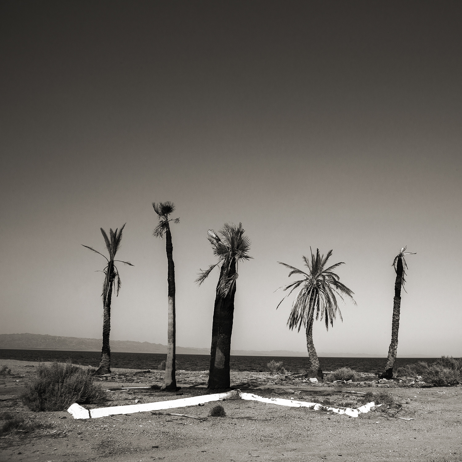 Salton Sea #82 — California, 2008