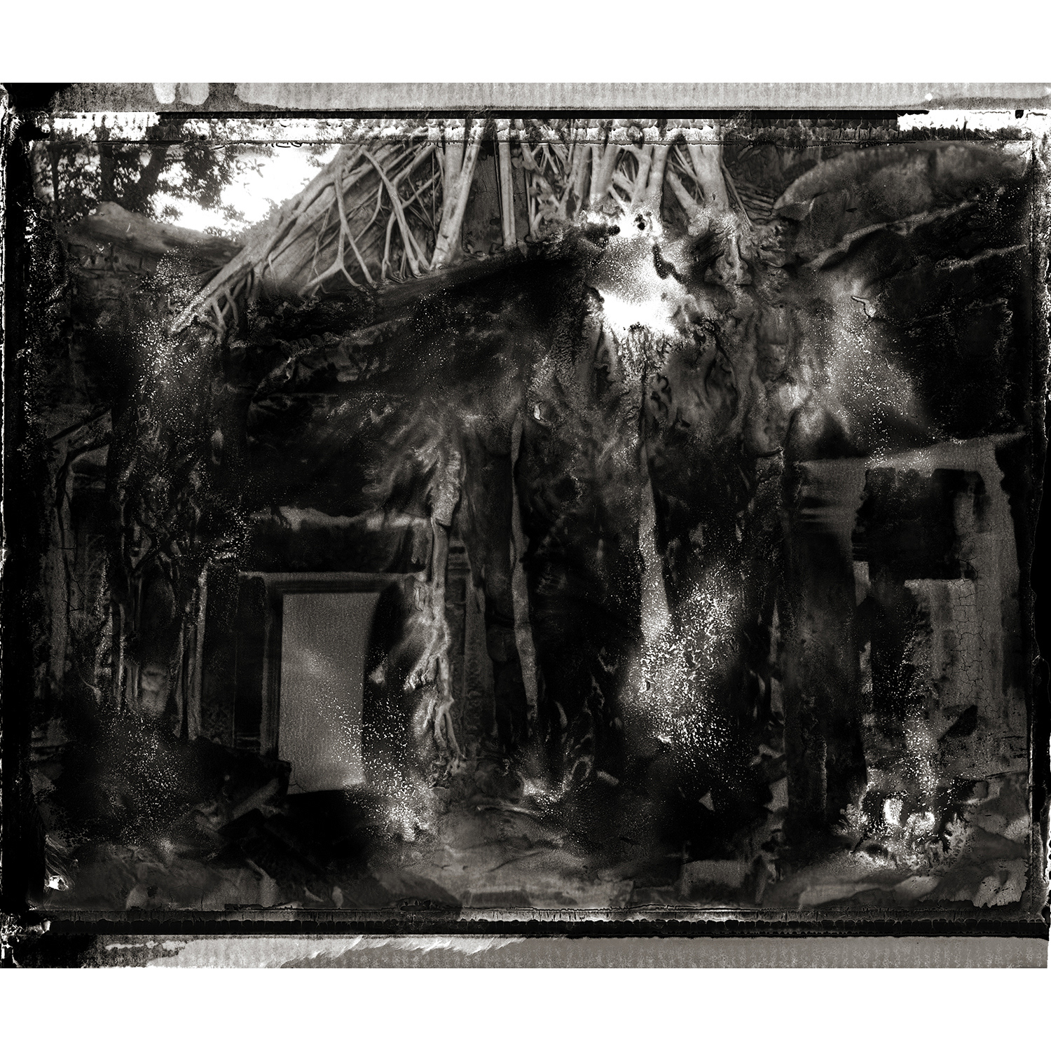 Ta Prohm Study #5, 2002 - Polaroid 180