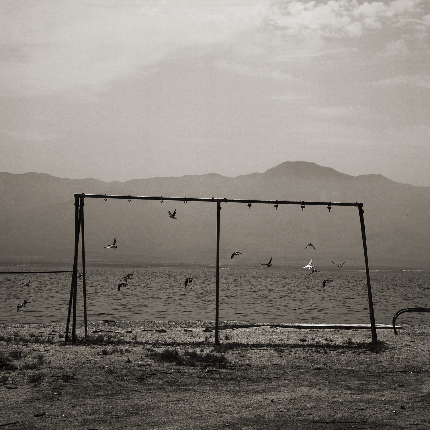 Salton Sea #36 — California, 2008