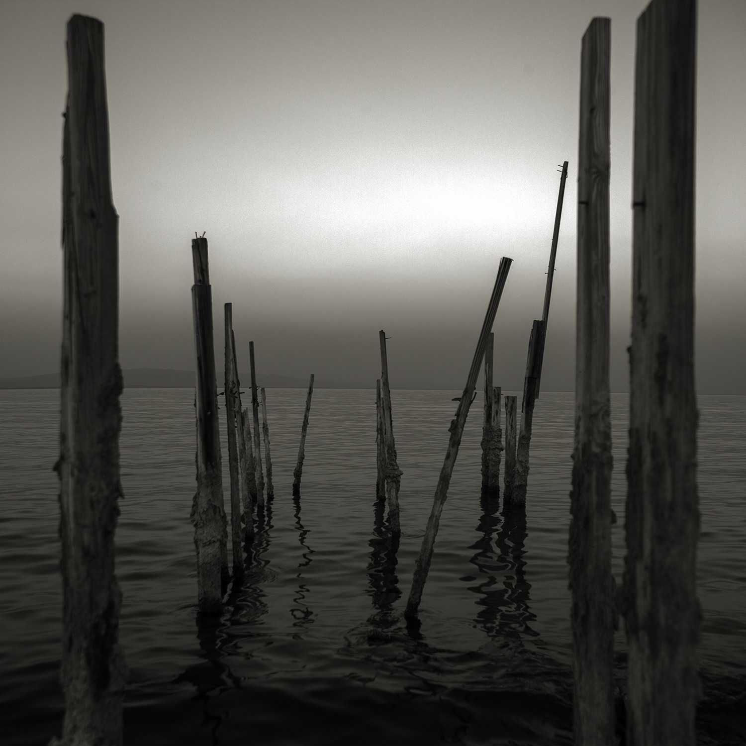 Salton Sea #91 — California, 2008