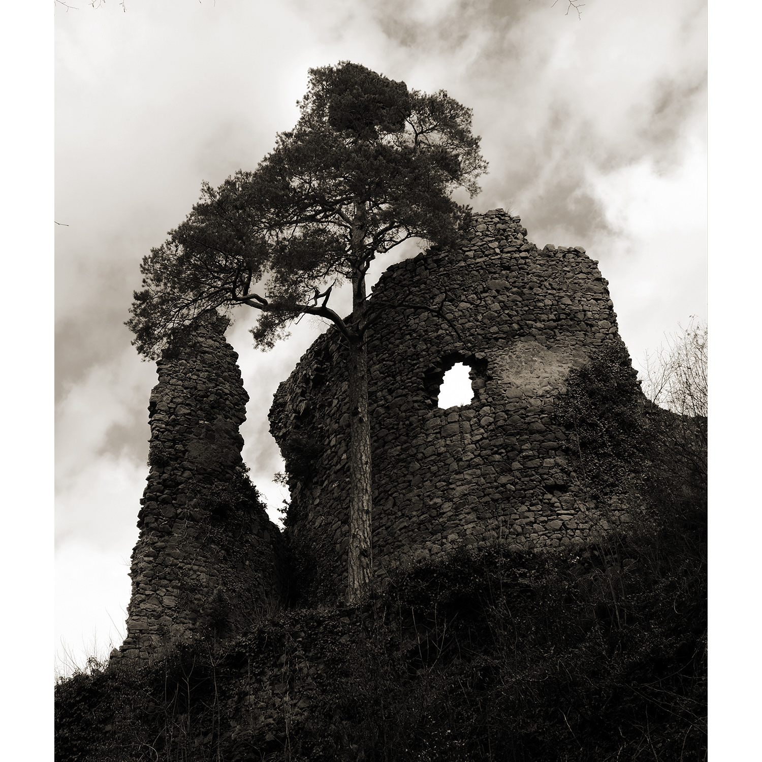 Schwartzenbourg — II. 24.