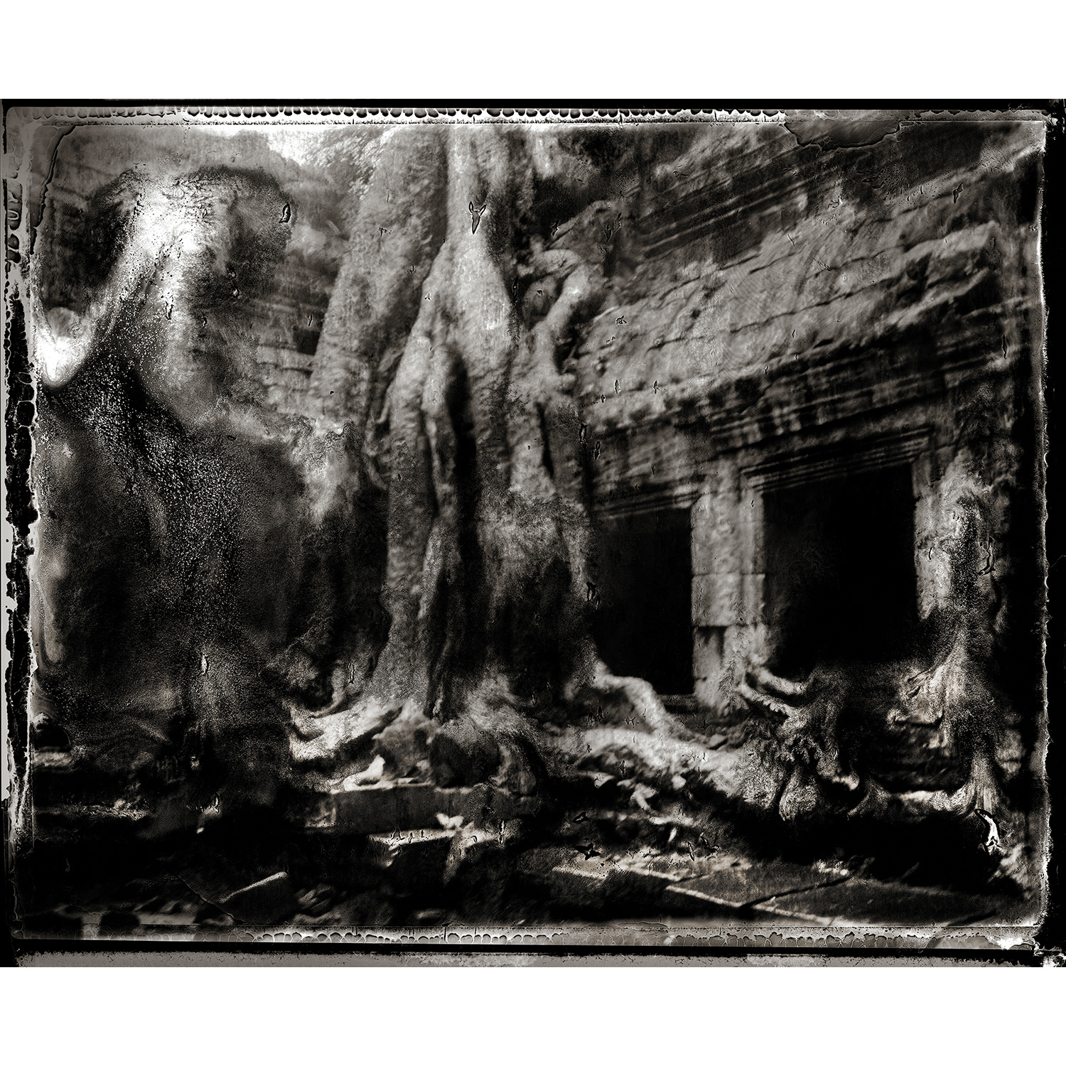 Ta Prohm Study #1, 2002 - Polaroid 180