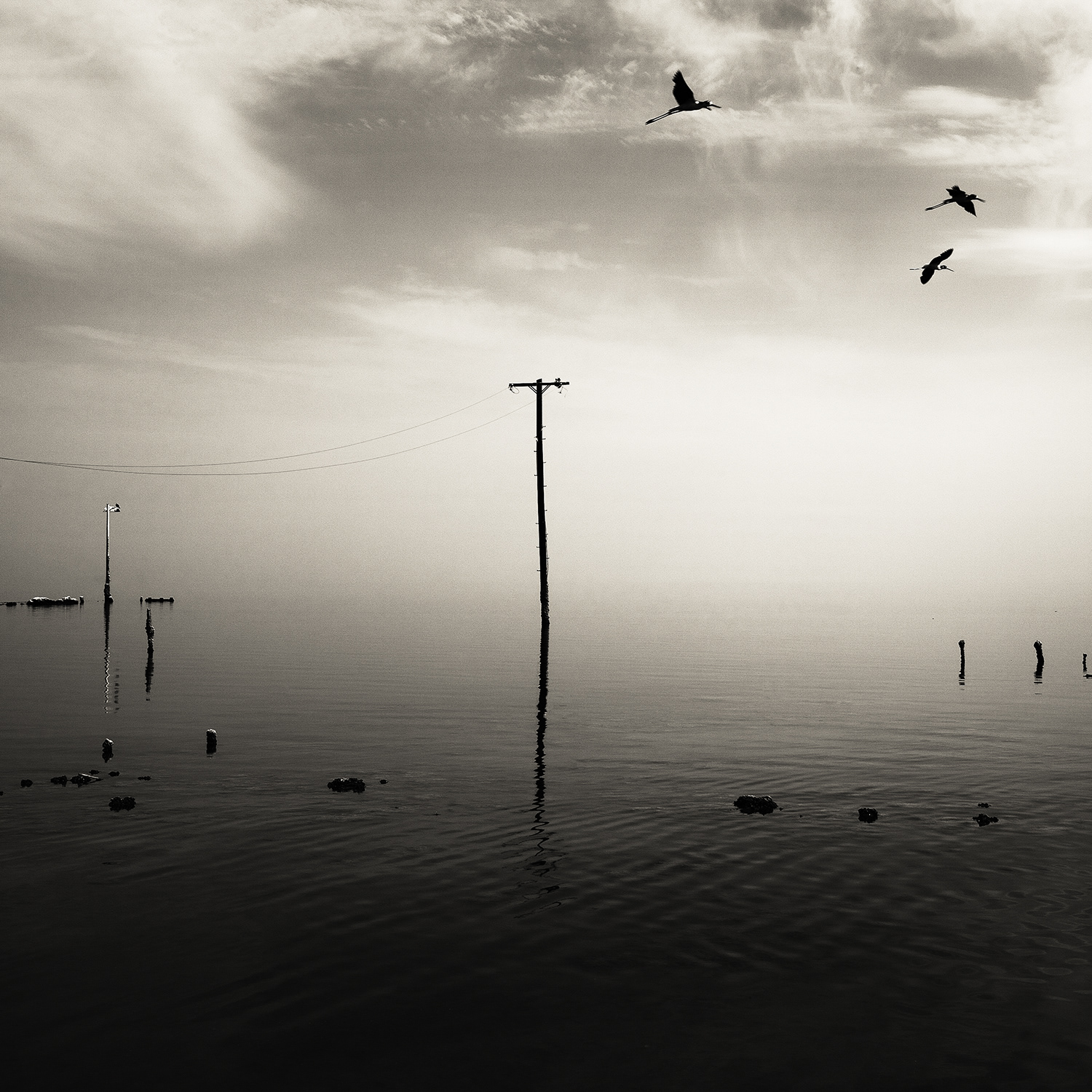 Salton Sea #96 — California, 2008