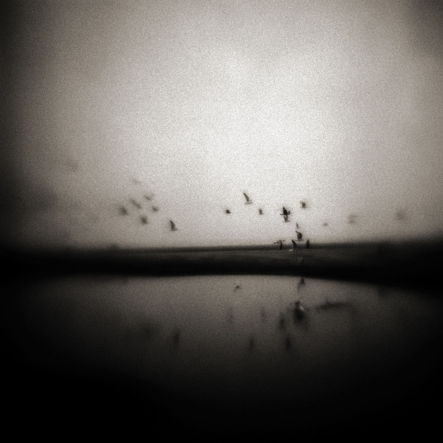 A Wall against the Ocean #4, 2002 — Kiev 88 + Kodak Tri-X