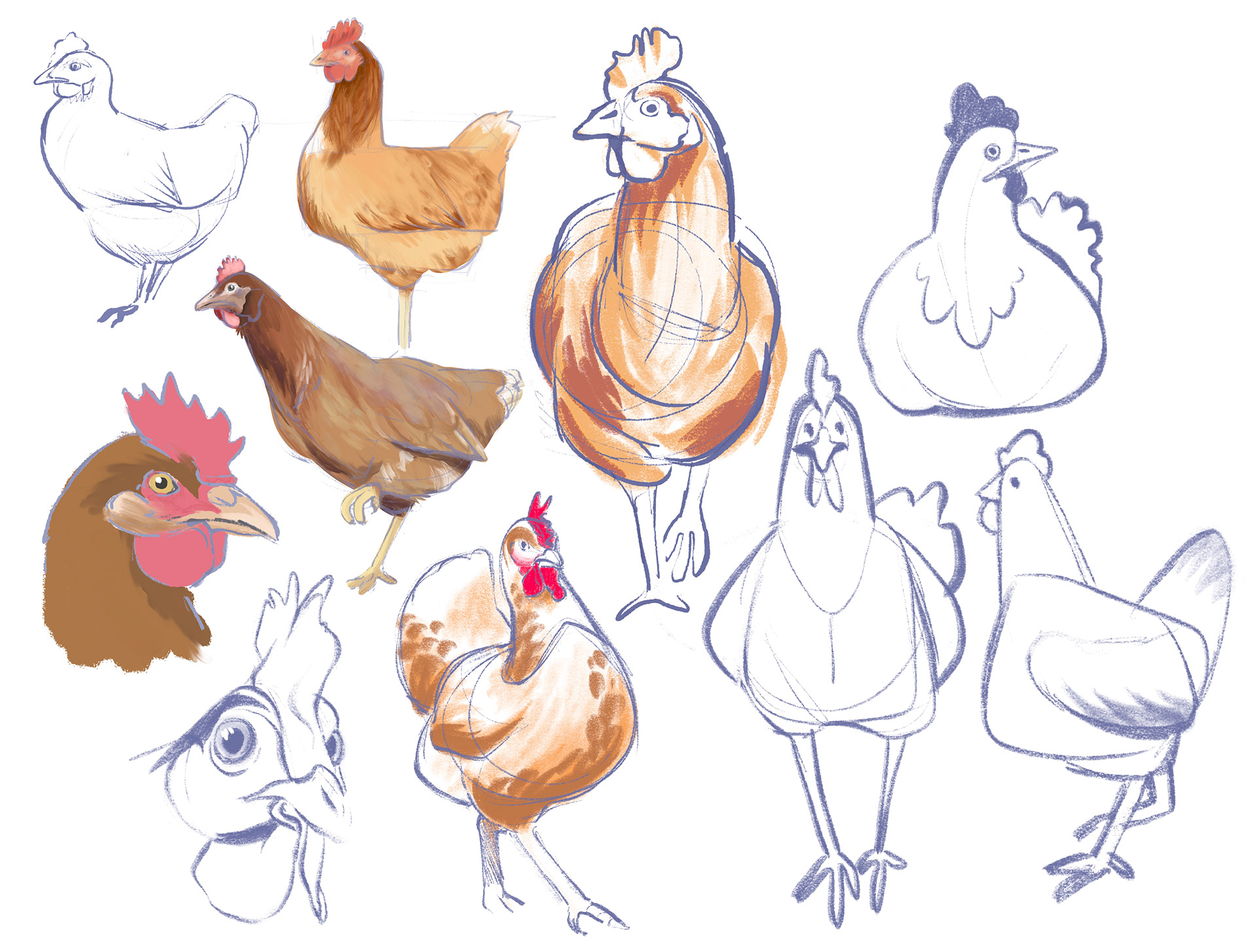 Recherche poules