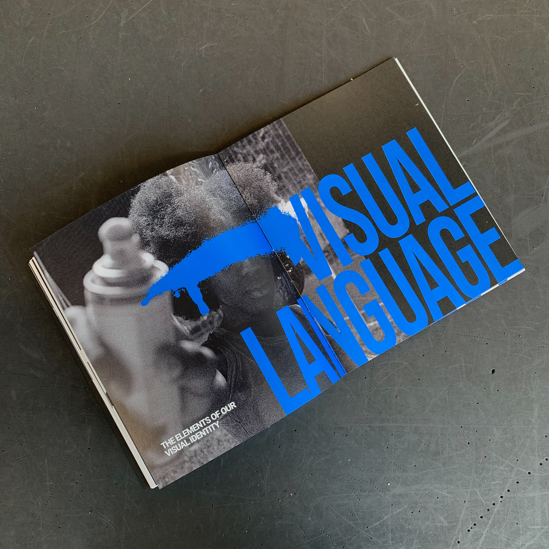 CHAPTER ON VISUAL LANGUAGE