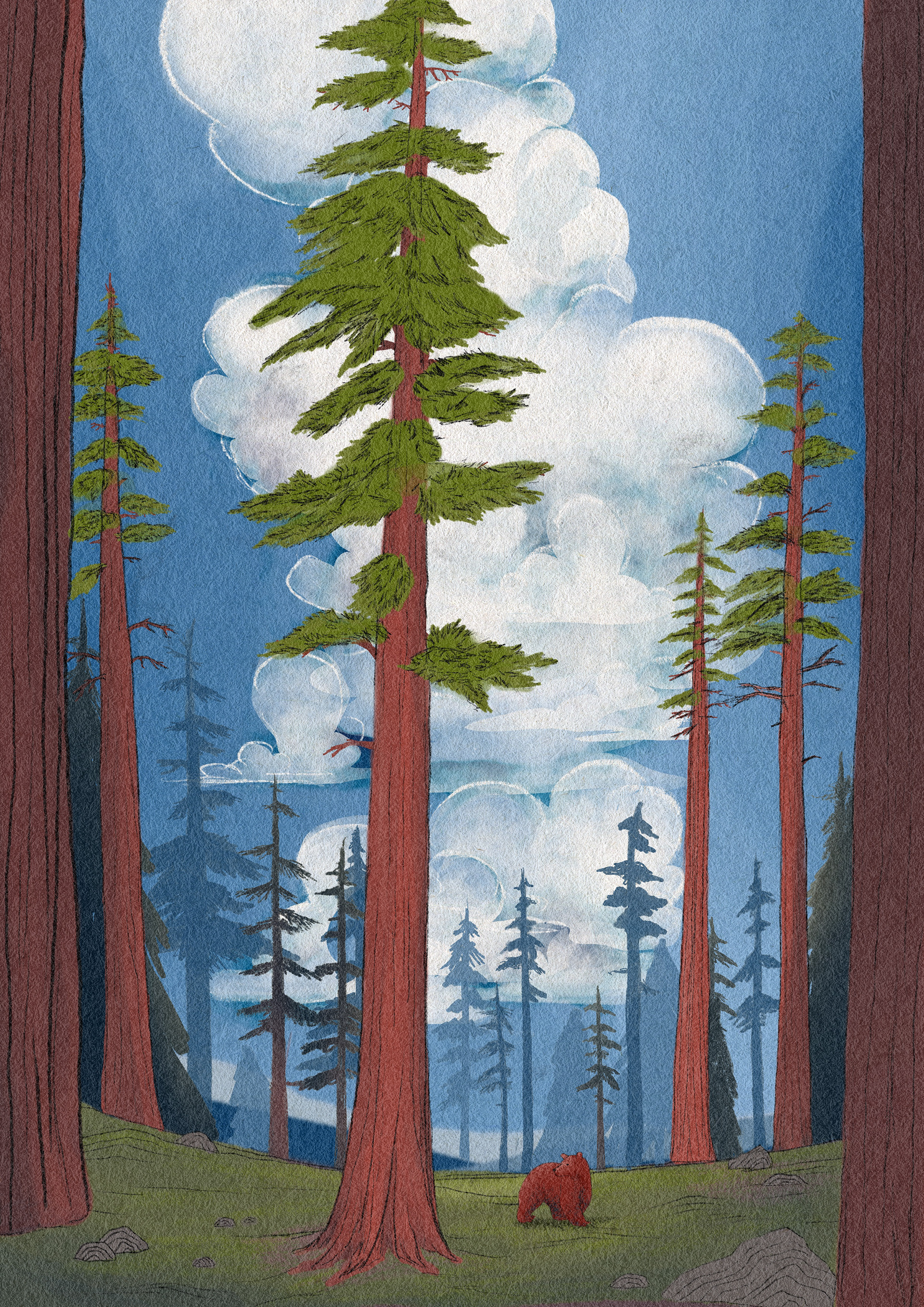 California Dreams