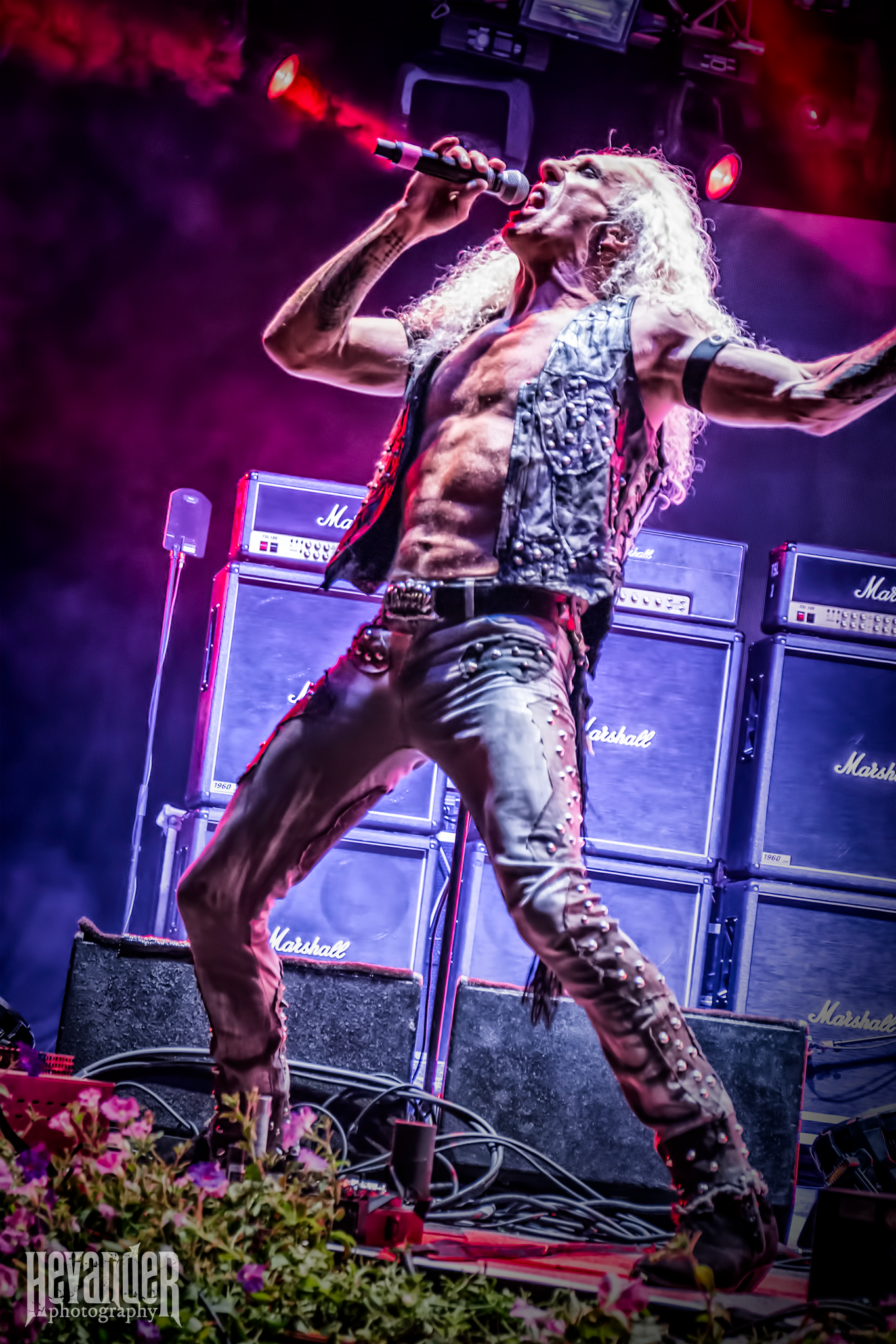 Twisted Sister