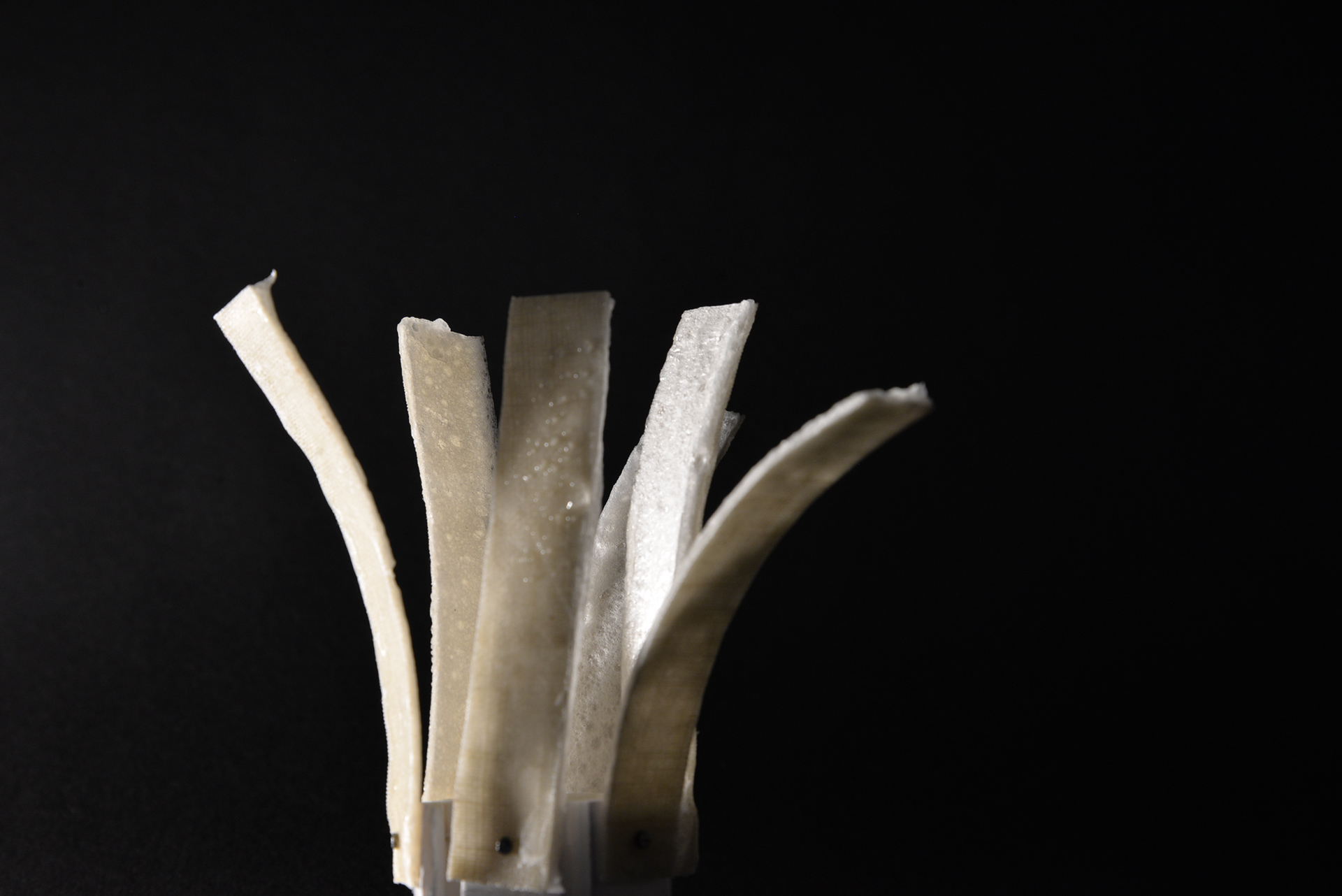Variation of shape with material