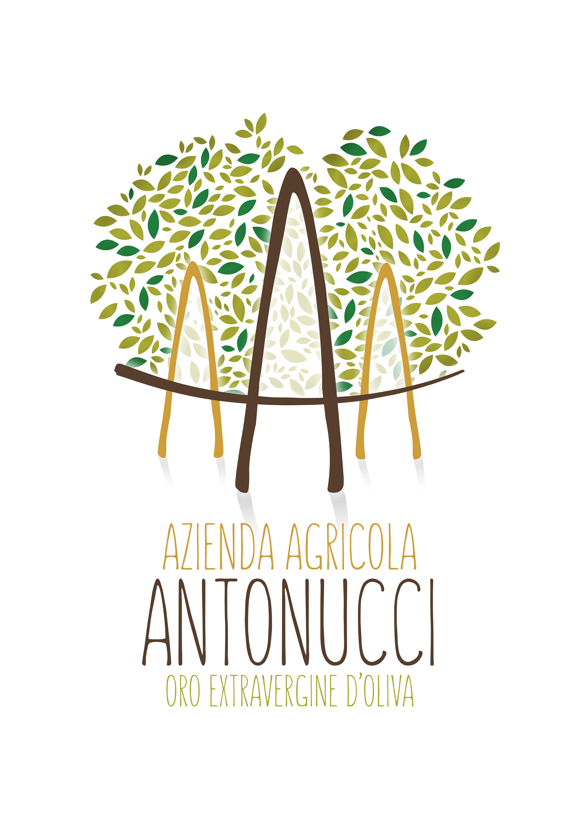 Azienda Agricola Antonucci, Olio Extravergine d'Oliva