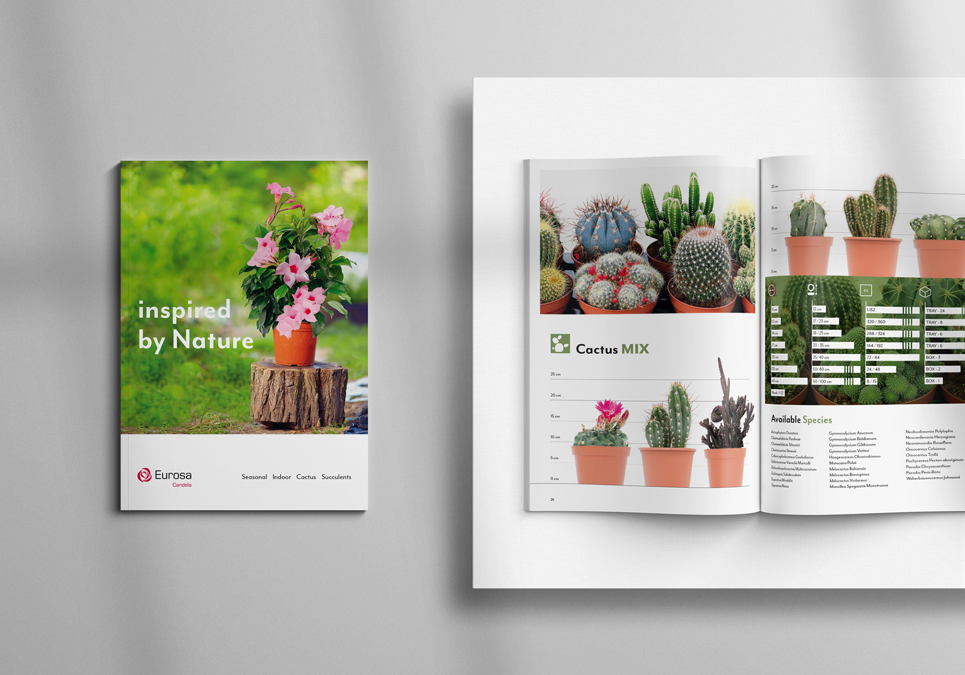Eurosa: Seasonal, Indoor, Cactus & Succulents