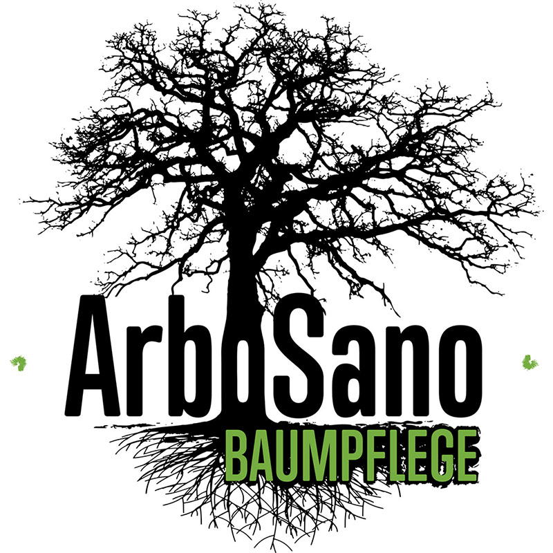 ArboSano - Zertifizierter Spezialist für Baumpflege und Fällungen jeglicher Art im Großraum Berlin.