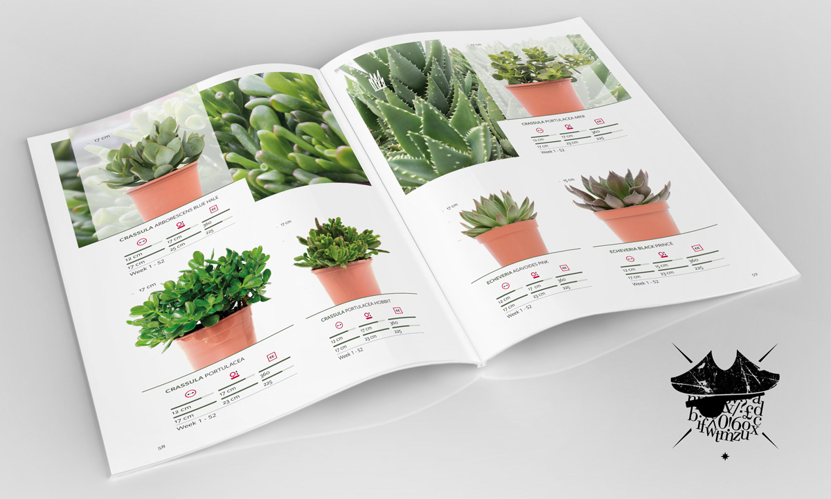 Eurosa: Sustainable Plants for Green Design - Innenseiten