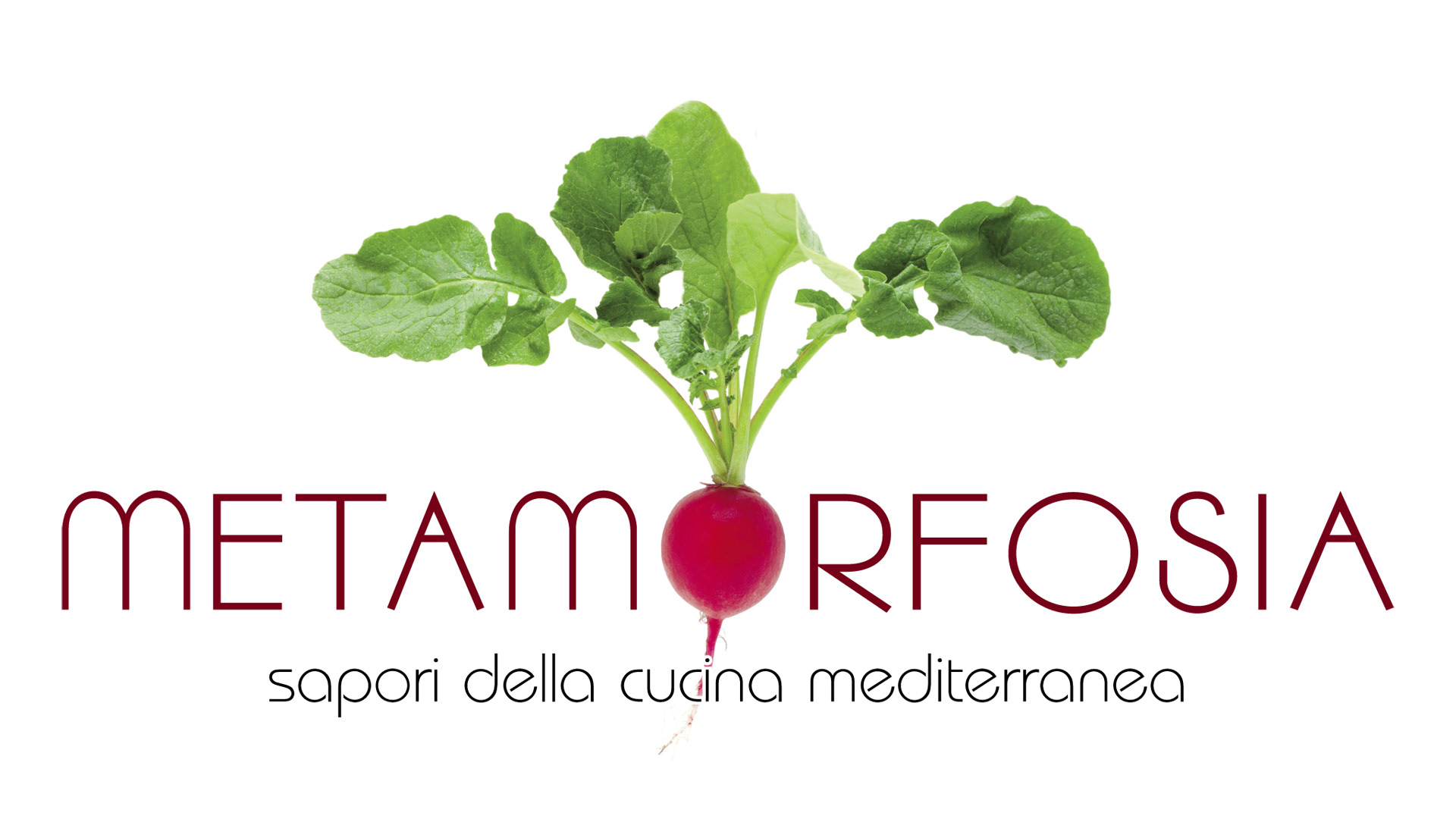 Metamorfosia, sapori della cucina mediterranea