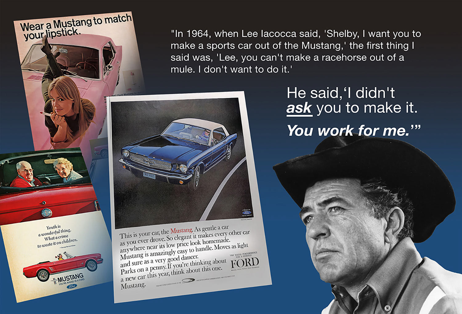 Exhibit: Wild Horses (Client: The California Automobile Museum)